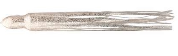 Lure Skirt 10" Clear with Chrome Flake