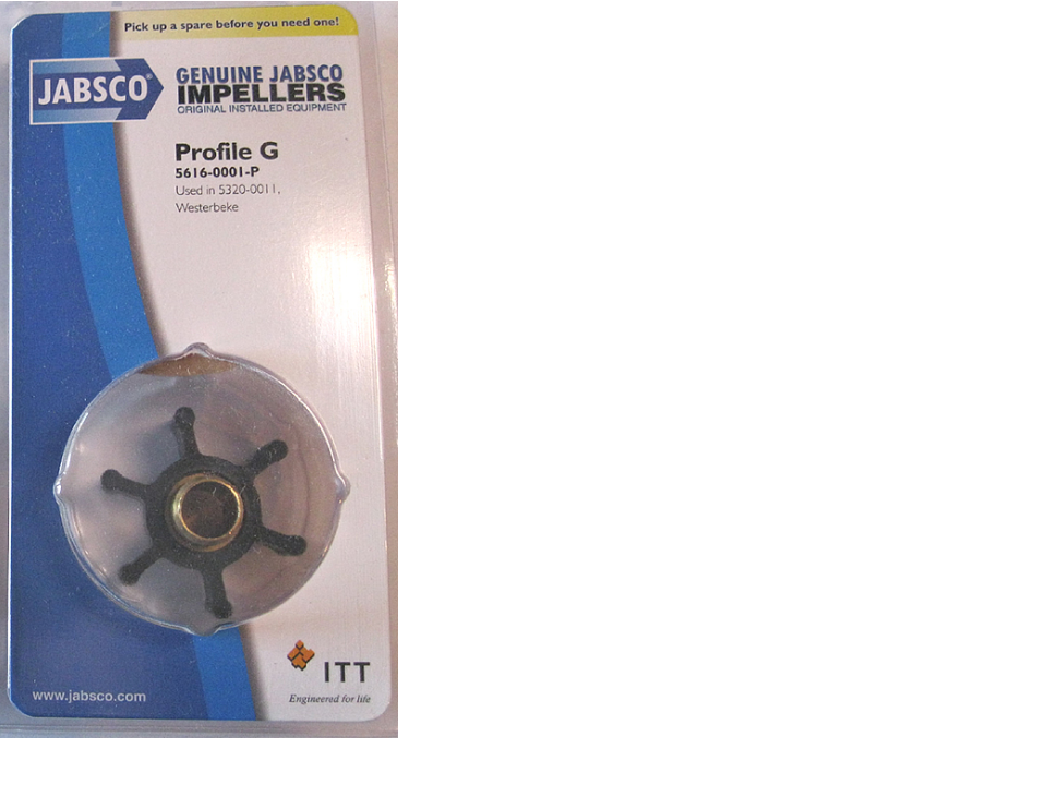 Impeller, Neoprene 6 Blade Ø2" Width 7/8" Ding-Drive#6