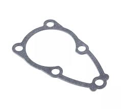 Gasket, Water Pump Case Lower