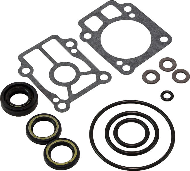 Gasket Set, Lower Unit