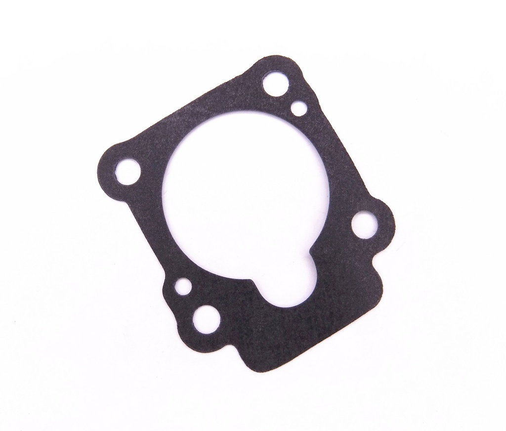 Gasket, Water Pump Case for M6-9.8 MFS6-9.8