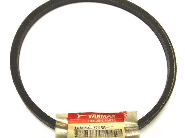 V-Belt, Circumfer:23"