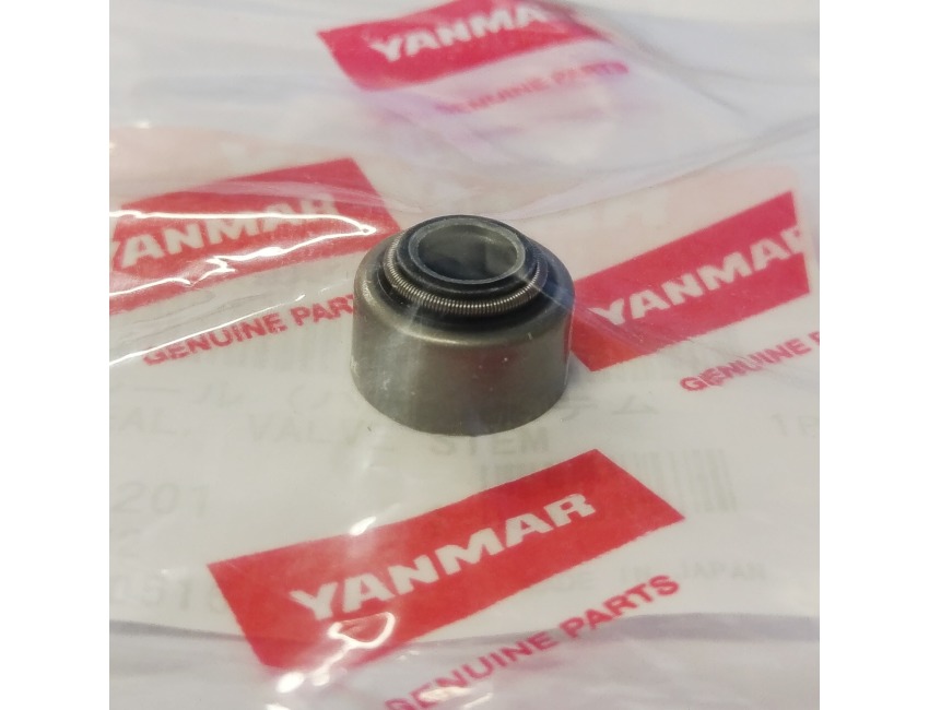 Seal, Valve Stem 