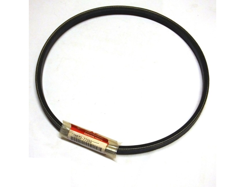 V-Belt, Circumfer:31" for 3GM30 Altern. not 30F