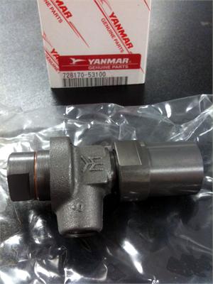 Valve Assembly, Fuel-Injection - Inj 250865