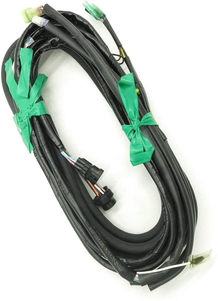 Wire Harness, 21'