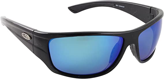 Sunglasses, Bill Collector Black Frame Blue Lens