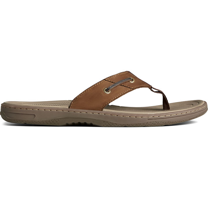 Sandals, Baitfish Thong Brown/Buck Brown