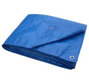 Tarp, 10' x 20' Light Duty Polyester Blue