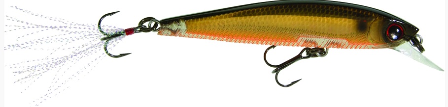 Lure, 3DB Jerkbait 3-1/2" 3/8oz Prism Gold Black