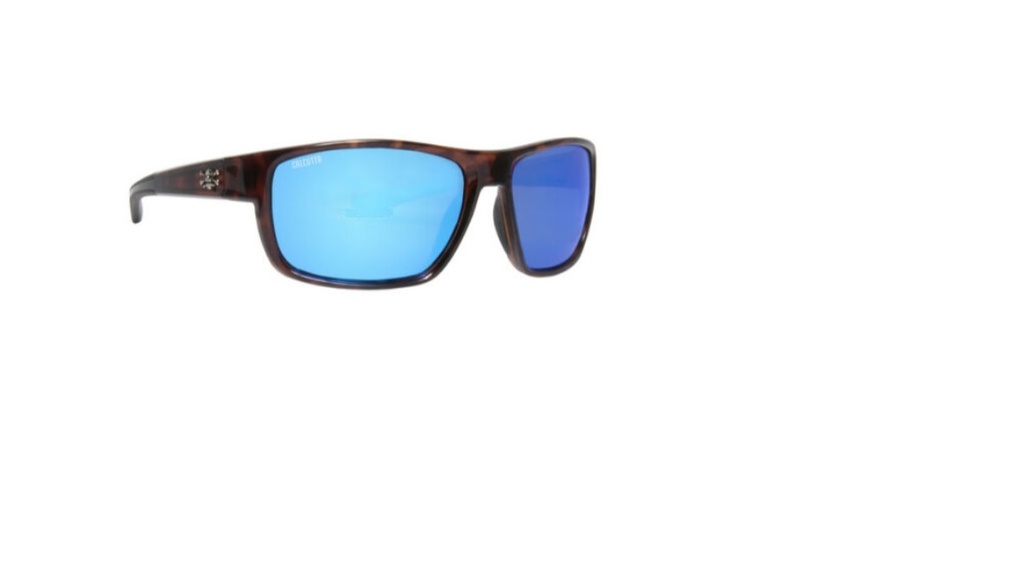 Sunglasses, Free Board Tort Fr Blue Mirror Lens