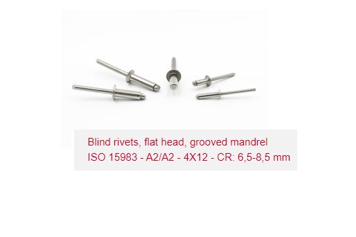 Rivet, Stainless Steel Flat Head w/Grooved Mandrel A2 4x12 5-8mm