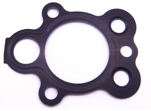 Oil Pump Gasket