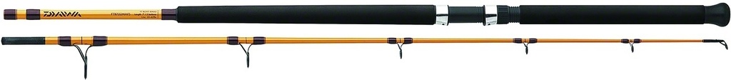 Rod, FT Saltwater Spin Heavy Fast 7'