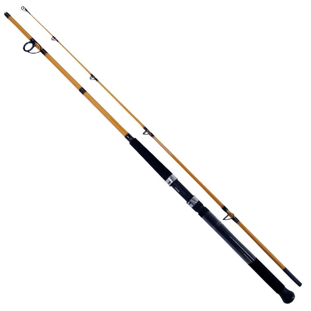 Rod, FT Surf Spin Med Fast 11' 2Pc