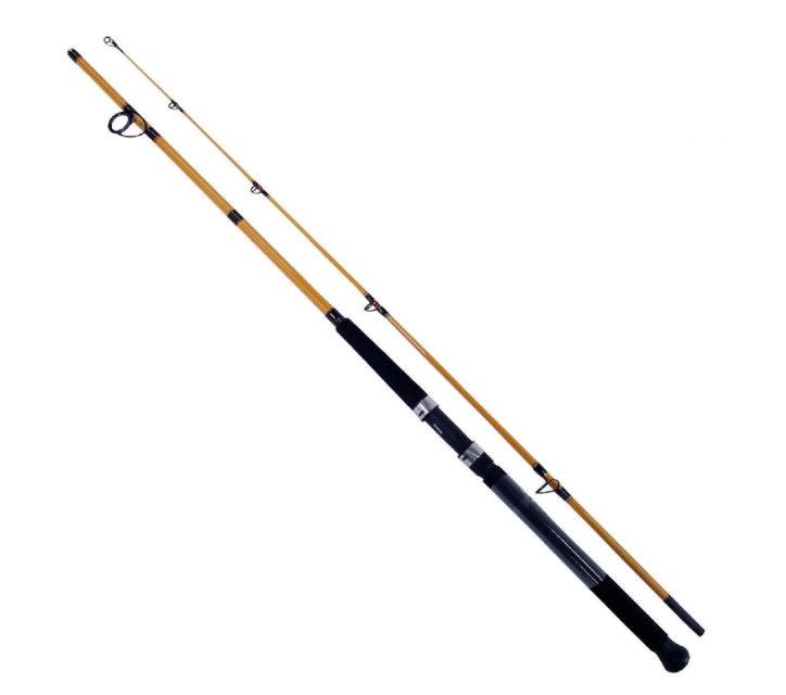 Rod, FT Surf Spin Medium Fast 10' 2Pc