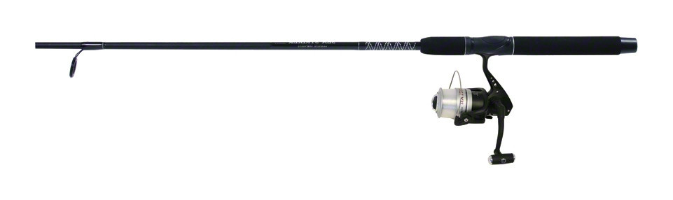 Rod/Reel, Spinning 6'6" ST40/FST66B-2