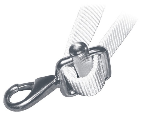 [OSC/0925020] Snap Hook/Carabiner, 25mm Stainless Steel with Slider Buckle for Webbing