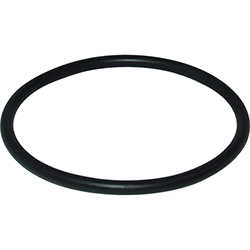 [VET/FTR3302] O-Ring, for RW-Strainer FTR330