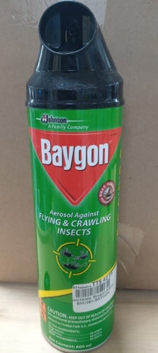 [BM/HH-BAYGON] Insecticide, Baygon 600ml