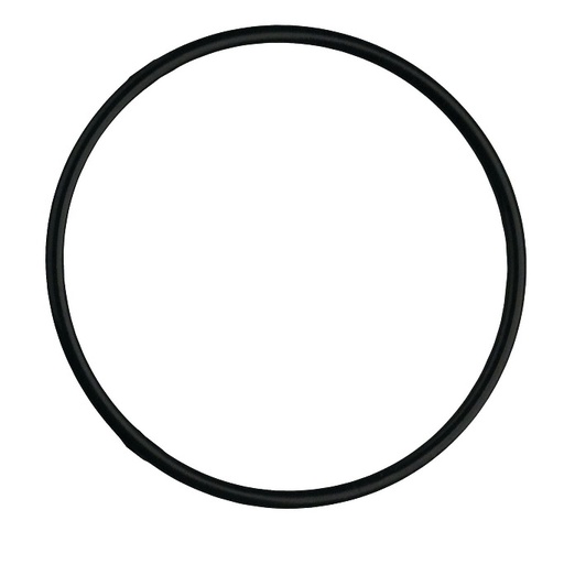 [PRE/WOR-C] O-Ring, for Commercial Series Filters