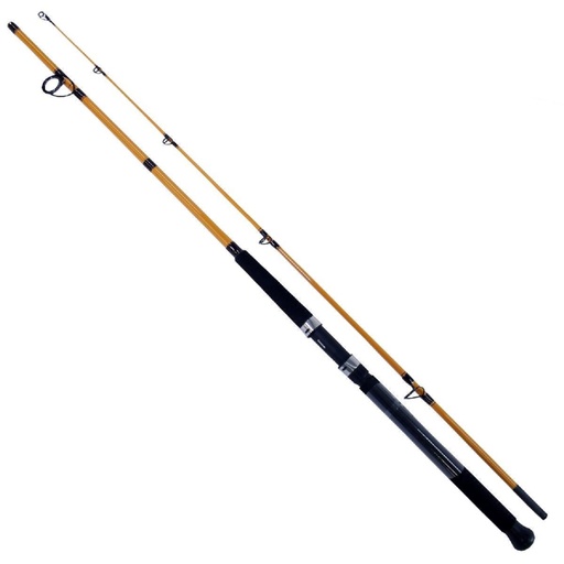 [DAI/FTS1102MFS] Rod, FT Surf Spin Med Fast 11' 2Pc