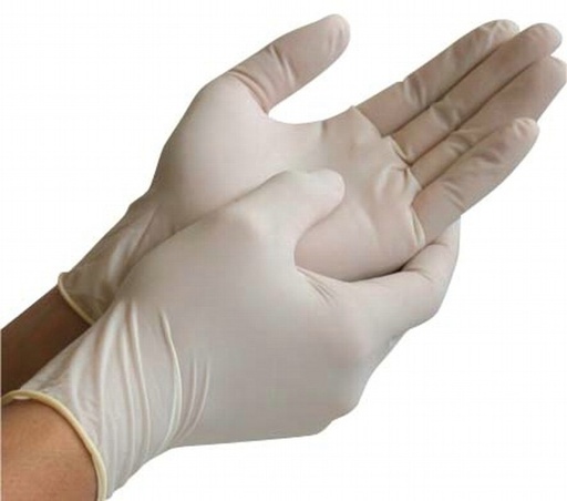 [FLH/23701294] Gloves, Vinyl Disposable Powder Free Large